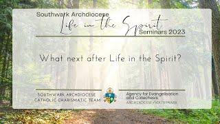 What Comes Next After Life in the Spirit Seminars?