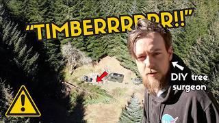 Felling Trees & Dirty Knees | Back on The Land With Friends