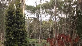 Amazing grace and Memorial cross at Mt Macedon