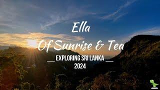 Ella Tea, Nine Arches Bridge and a Majestic Sunrise | Ella ඇල්ල, Sri Lanka 