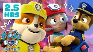새로운 PAW Patrol 구조 작업의 150분  | 퍼피 구조대