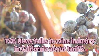 TVB News | 31 Oct 2024 | TVB News talks to wine industry in California about tariffs