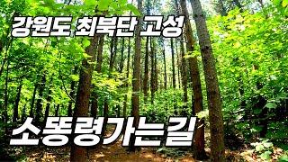 강원도 최북단 고성 _ 오지 천연 숲길 소똥령 _ 칡소폭포 _ 소똥마을 _ 진부령계곡