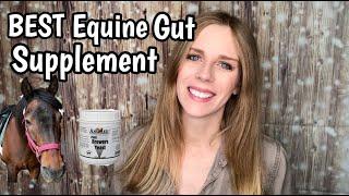 BEST BUDGET DIGESTIVE SUPPLEMENT FOR HORSES