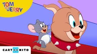 Tom und Jerry | Winterabenteuer | Cartoonito