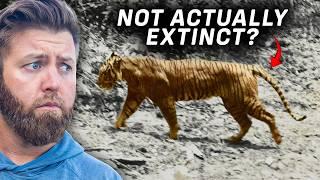 5 Extinct Animals That I Believe Could Still Be Alive...