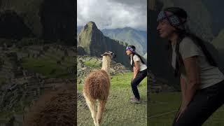 AMAZING! Machu Picchu #travel