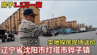 辽宁省沈阳市灯塔市铧子镇，房子1.5万一套，鬼哥实地探房现场谈价【鬼头看房】