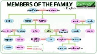 Members of the Family in English | Learn English Vocabulary | Family Tree in English