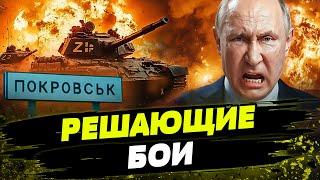  СРОЧНО! Россияне ПРОДАВЛИВАЮТ ОБОРОНУ ПОКРОВСКА! В РФ БАХКАЕТ И ПОЛЫХАЕТ! Удары В ЯБЛОЧКО!