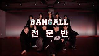 [ BANGALL 전문반 트레이닝 3월 미션 ] #실용무용 #댄스