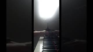 Nocturne in C# Minor (No 20) - Chopin