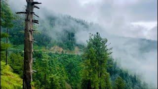 Clouds Passing Over Mountains | Rain in Nathia Gali | Relaxing 4K HD Video