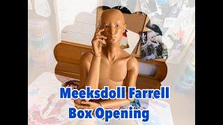 Meeksdoll Farrell BJD Box Opening