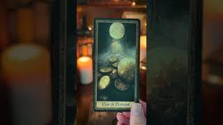 Big Abundance Is Here For You  | #tarot #tarotreading #tarotcardreading