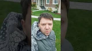 ПОСЛЕДНЯЯ СТРИЖКА ГАЗОНА #архитекторландшафтов #shortvideo тег проекта  #ЛеснаяКлассика