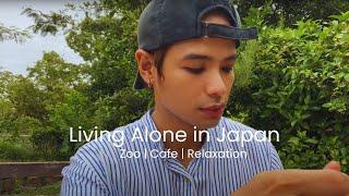 Relaxing time at a zoo and cafe | Life in Japan | Japan Vlog | 動物園とカフェでリラックスタイム | 日本での生活 | 日本Vlog