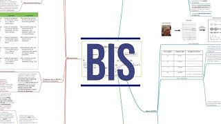 BIS Monitoring