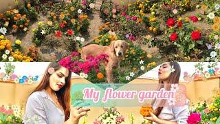 Planting new plants bought from nursery | My flower garden | Alisha’s Alishan