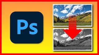 How to convert image to Black and White in Adobe Photoshop 2021
