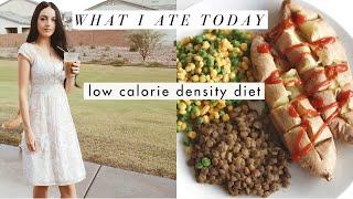 What I Ate Today: Low Calorie Density Vegan Diet