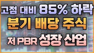 고점 대비 85% 하락 분기 배당 주식 저 PBR 성장 산업