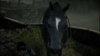 SHADOW OF THE COLOSSUS: AGRO‘S FACE ILLUMINATED WHEN CREST STARTS GLOWING.