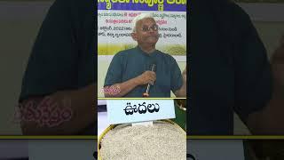 Millets Super Benefits | సిరిధాన్యాలు #shorts