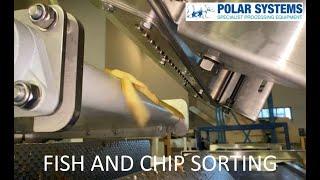 Polar Electronic Sorter with Sound