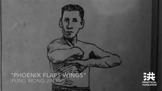 "Phoenix Flaps Wings" (Fung Wong Jin Yik) | Practical Hung Kyun