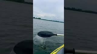 Guelph Lake Kayaking..