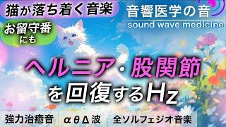 【猫が落ち着く音楽】ヘルニアと股関節の治癒音┃お留守番にも┃超回復のα波・θ波・デルタ波┃全ソルフェジオ周波数