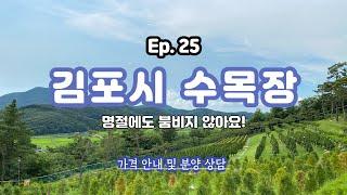 Ep.25 김포시 수목장/명절에도 붐비지 않는 위치/저렴한 수목장/가격 안내/박혜수 실장(01088078011)