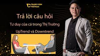 Trả lời câu hỏi | Chia sẽ về tư duy của cá trong thị trường UpTrend và Downtrend | Hoàng Minh Thiện