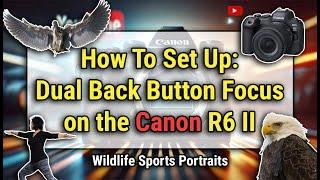 How To Set Up Dual Back Button Auto Focus for the Canon EOS R6 Mark ii | Wildlife & Sports Setup