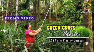 Green Grass Stories Promo video|traditional lifestyle & cooking| traditional food| Life of a woman