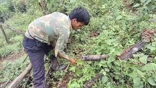 village life in Laos