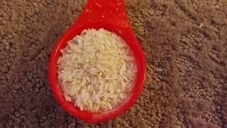 Neato vs Roomba rice test