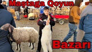 Maştaga Qoyun Bazarı 30 yanvar 2022 #elixezer #mastagaqoyunbazari #mastagamalbazari