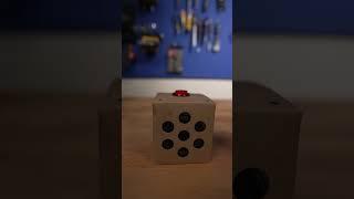 Raspberry Pi AI - Crazy Response @raspberrypi #raspberrypi  #funny #funnyvideo #mrbeast  @MarkRober