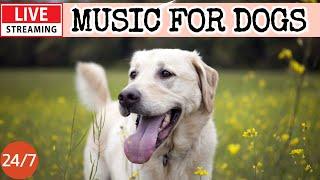 [LIVE] Dog MusicDog Calming MusicDog Separation Anxiety ReliefDeep Sleep Music For Dogs19