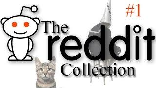 The Reddit Collection #1 - Kevin & Wednesday The Cat