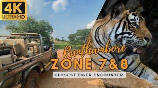 Ranthambore A monsoon tiger safari adventure: The striped boy