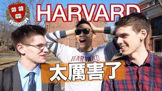 Harvard Students Answer Questions To Win CASH!!