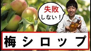 【3分で分かる梅シロップの作り方】梅農家が教える失敗しない方法！