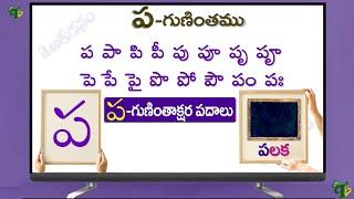 ప గుణింత పదాలు | Pa Gunintham Pa Guninthakshara Padalu in telugu | Pa Gunintha padalu @TeluguVanam