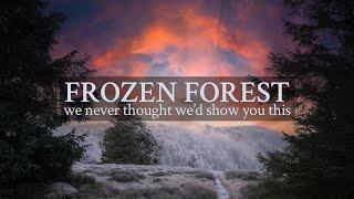 frozen forest-we never thought we'd show you this | winter hiking video | the windy burrow Canon M50