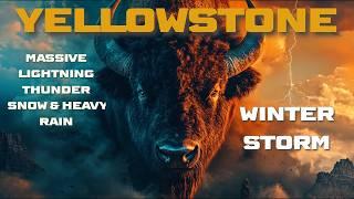 YELLOWSTONE! Caught in Severe Lightning & Thunder Winter Storm. Snow, Heavy Rain, Car Camping Movie