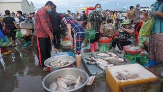 Morning Fish Market at Prek Phnov Bridge - Walking Tour Around Fish Market in Early Morning