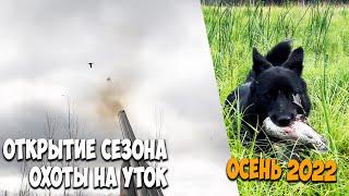Открытие сезона охоты на уток. Осень 2022